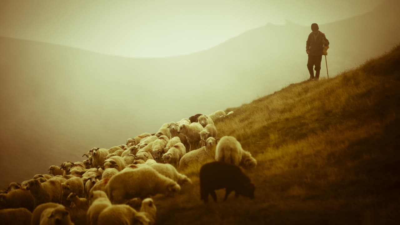  Gheorghe Zamfir - The Lonely Shepherd  