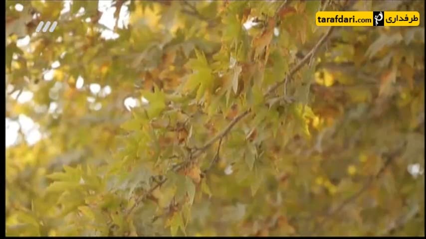 برنامه 90- تقویم نود (95/8/10)