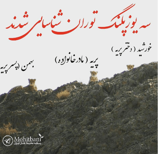 عکس خانوادگی ؛ پریــــــــــــه ، خورشـــــــــــــــید و بهـــــــــــــــمن !!!