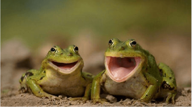 بخند :))