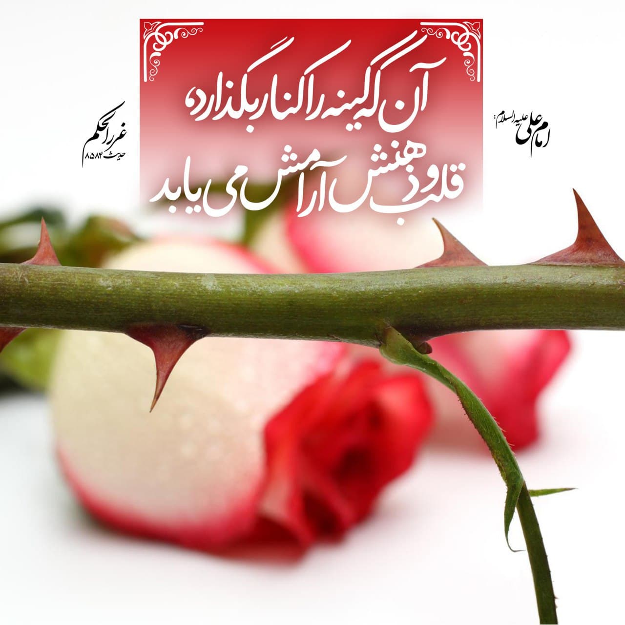کنار گذاشتن کینه