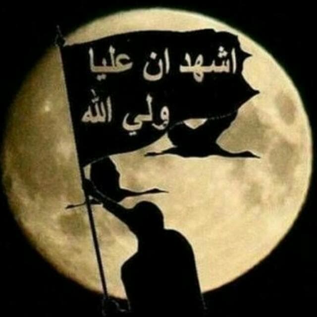 شناخت بیشتر  و غریبی  امیر المومنین امام علی علیه السلام.