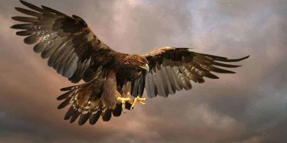 اتحاد نور : پرورش هوشیاری فردی و جمعی، تکیه بر خدای درون، و مسئولیت پذیری