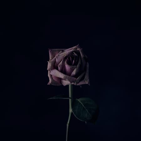 اتفاق هایی که موسیقی ها رقم زدند