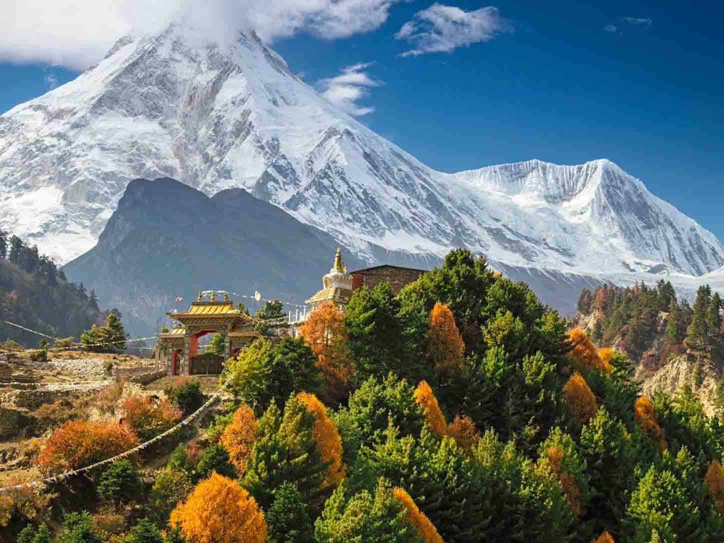 صعود یک کوهنورد شیرازی به هیمالیا