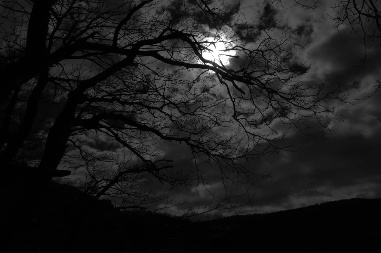 دانلود آهنگ Disturbed - Darkness