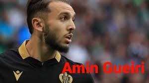Amin Gueiri