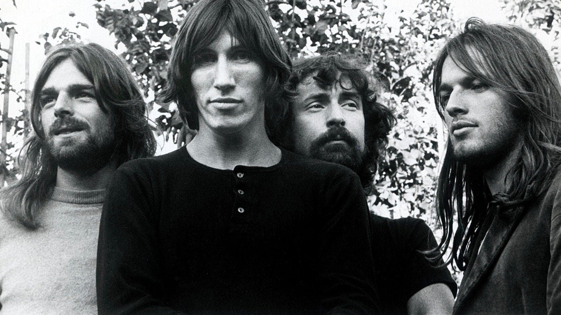 شاهکار Comfortably numb از گروه افسانه ای پینک فلوید