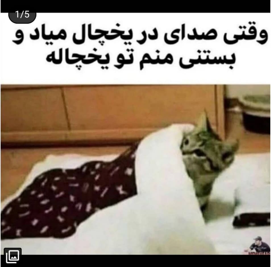 میم های جالب،جذاب و طنز??