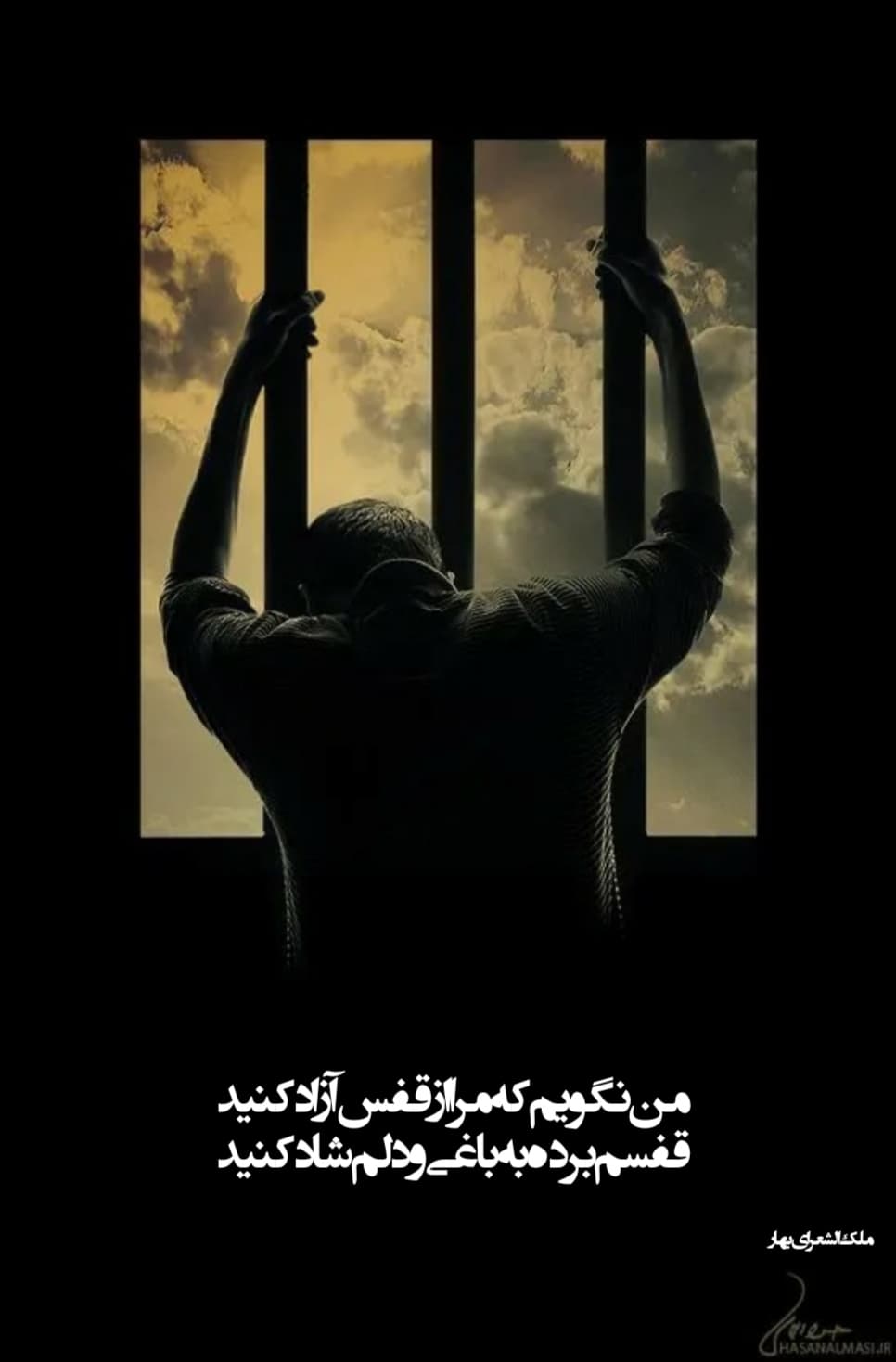 من نگویم که مرا از قفس آزاد کنید