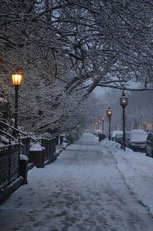 Winter Waltz