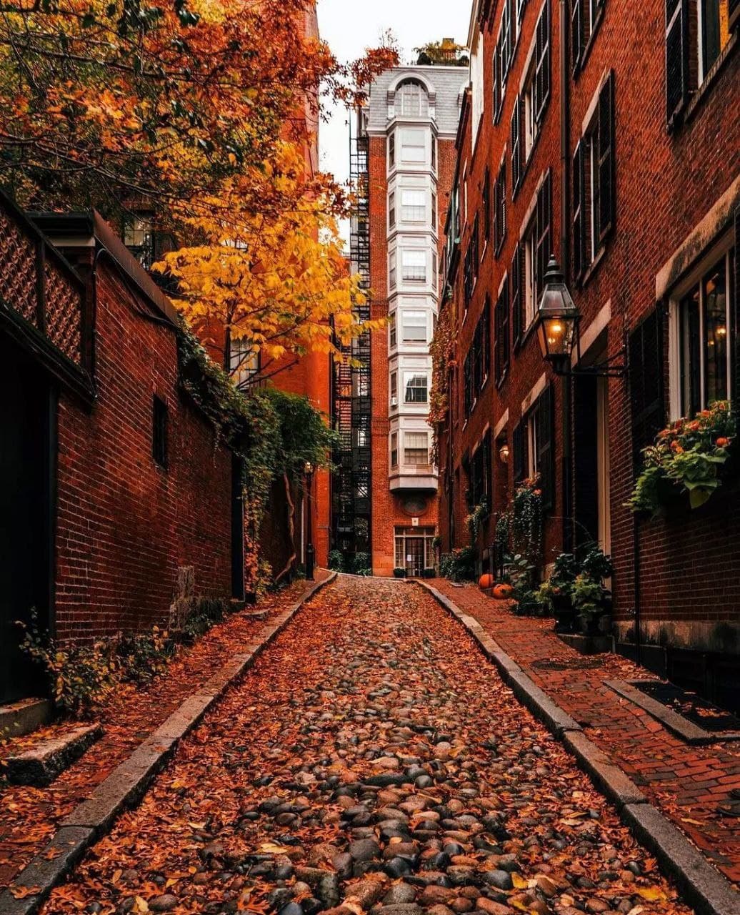 پاییز فروغ فرخ زاد - Autumn Stories Week 9(Fabrizio Paterlini) 