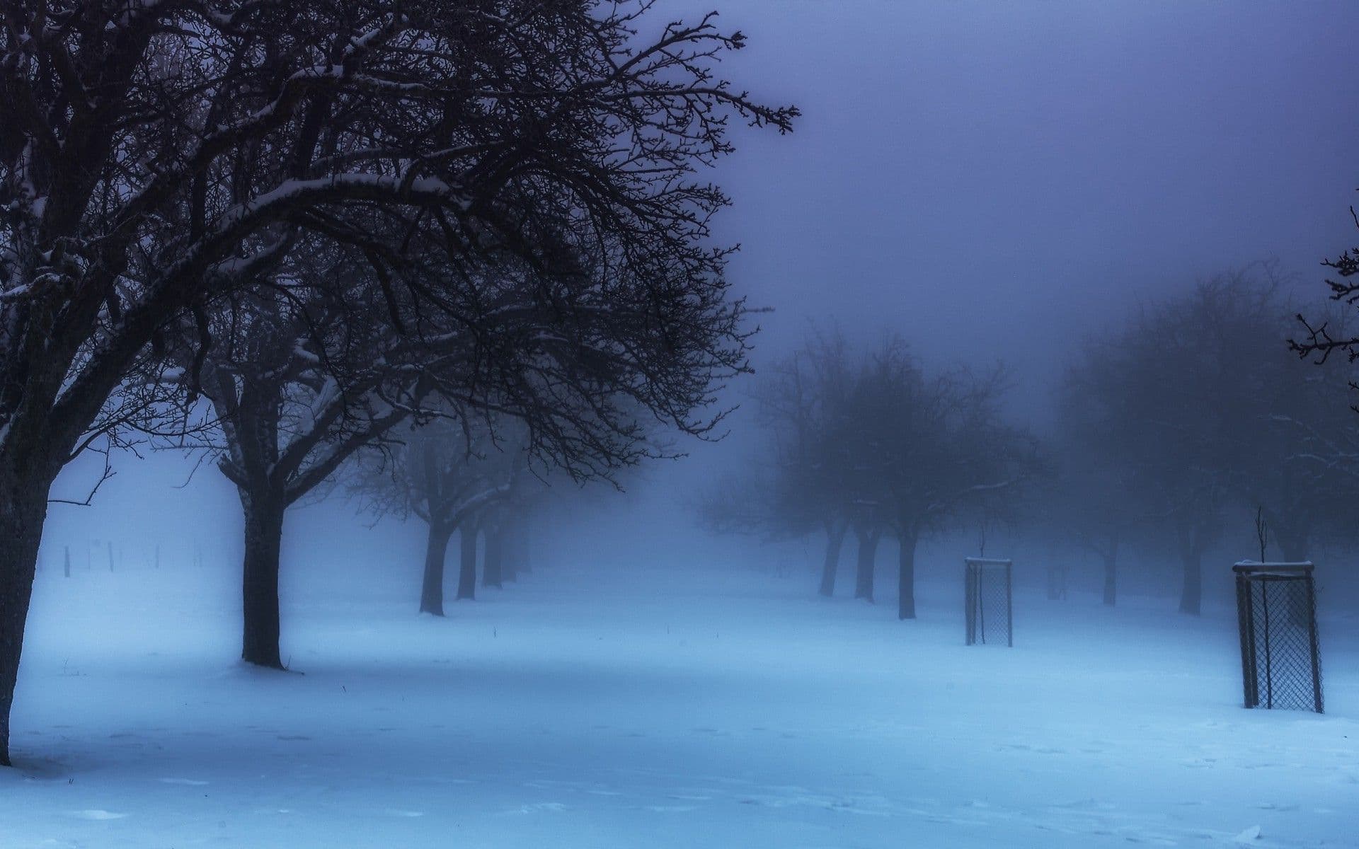 nocturne (34)