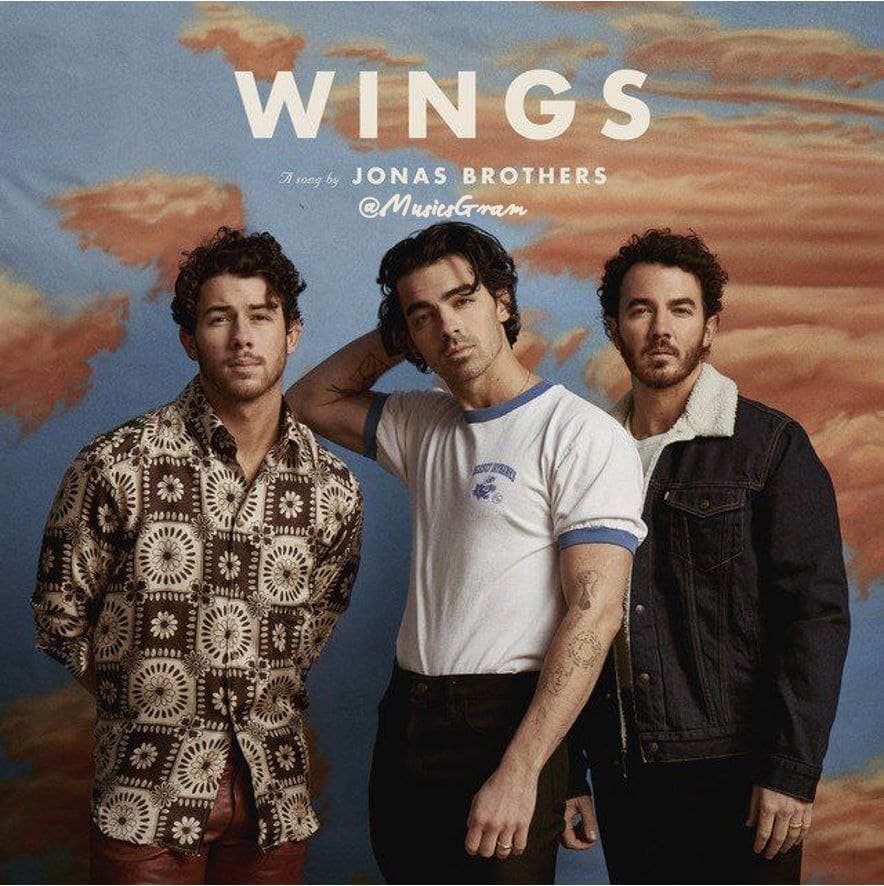 دانلود آهنگ Jonas Brothers - Wings
