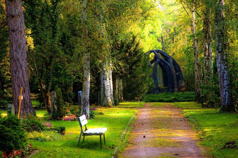When Darkness Falls - Secret Garden