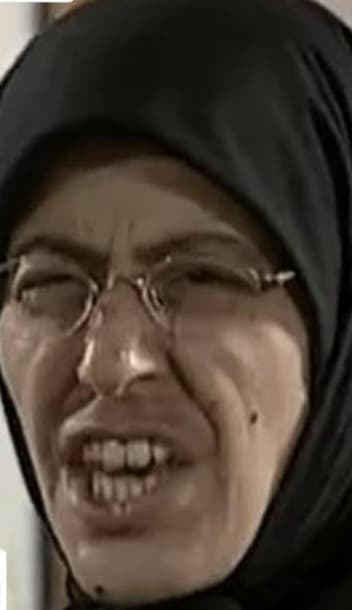 باب دلمی