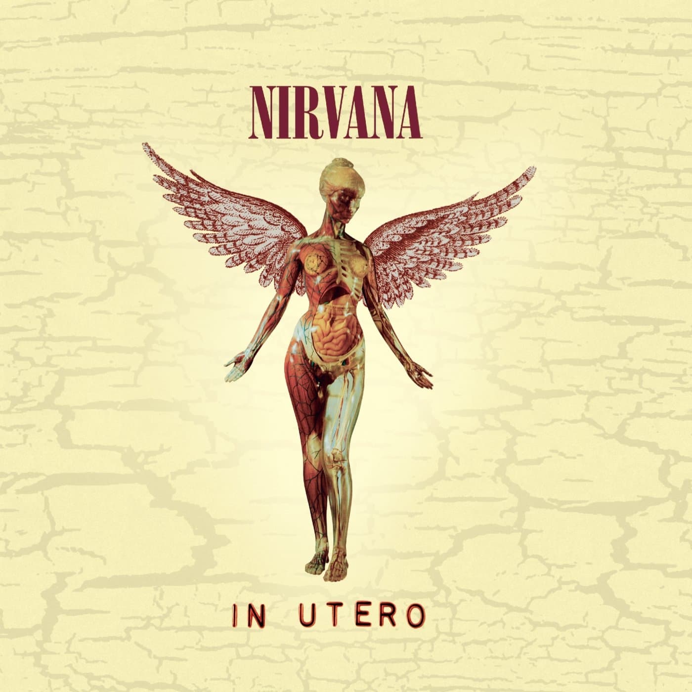 Nirvana - Frances Farmer Will Have Her Revenge On Seattle