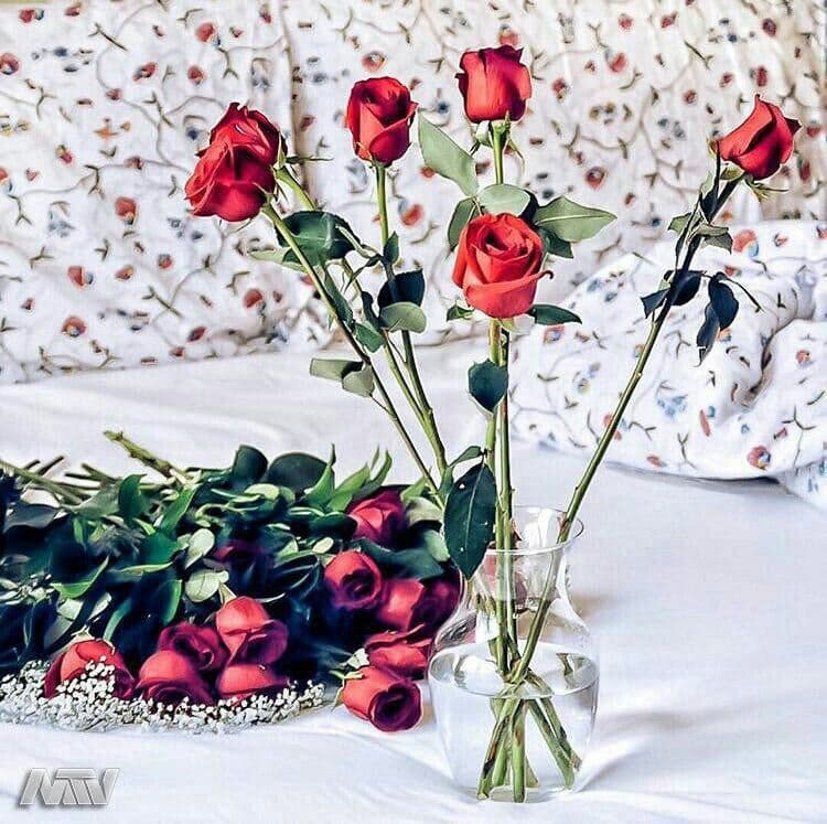 تورک های جنوب کنگو