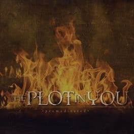 دانلود اهنگ فوق العاده the one you loved از the plot in you + متن