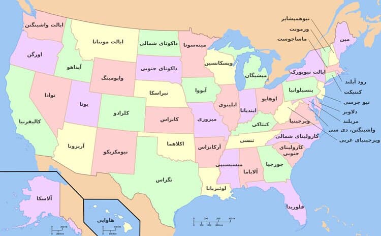 «فدراسیون» چیست؟ 