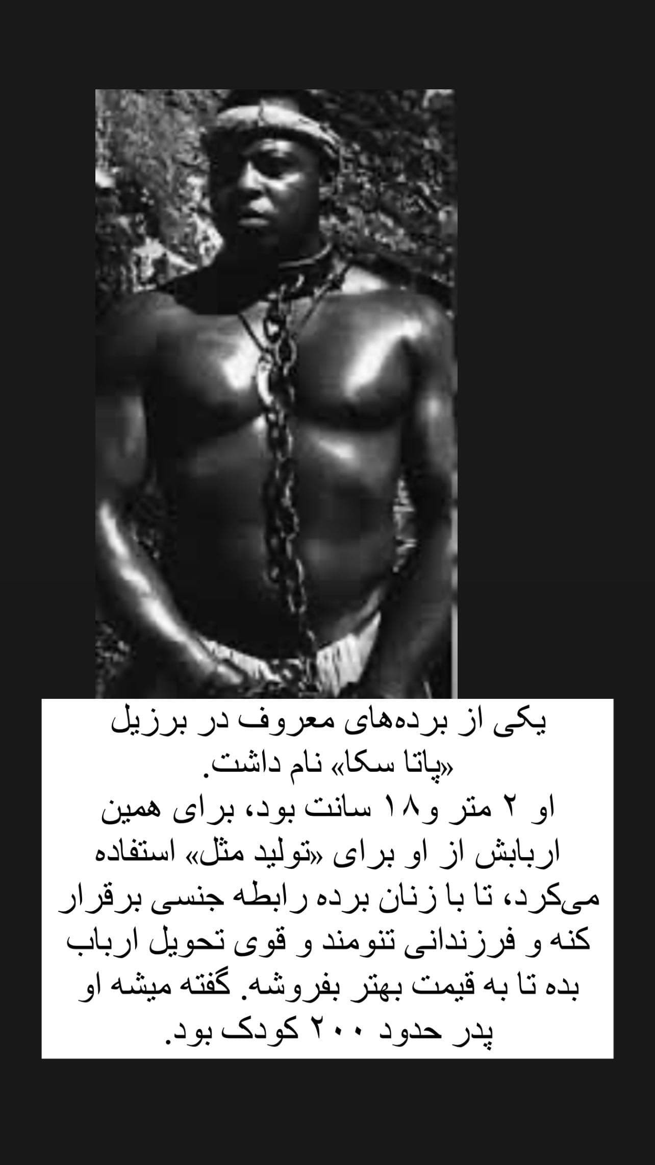 برده سیاه برزیلی که 200 فرزند داشت