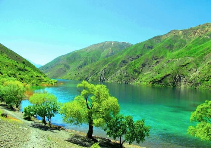دانلود آهنگ درد زمونه از مسعود بختیاری 
