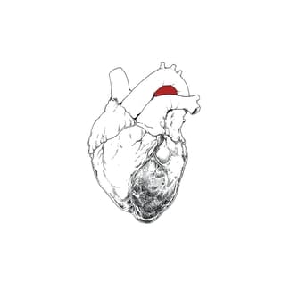 Swans - Paradise is Mine