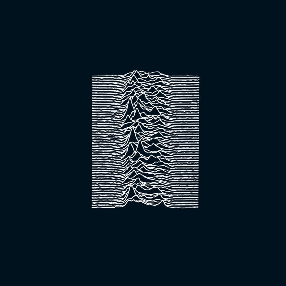 دانلود آهنگ Joy Division - Disorder