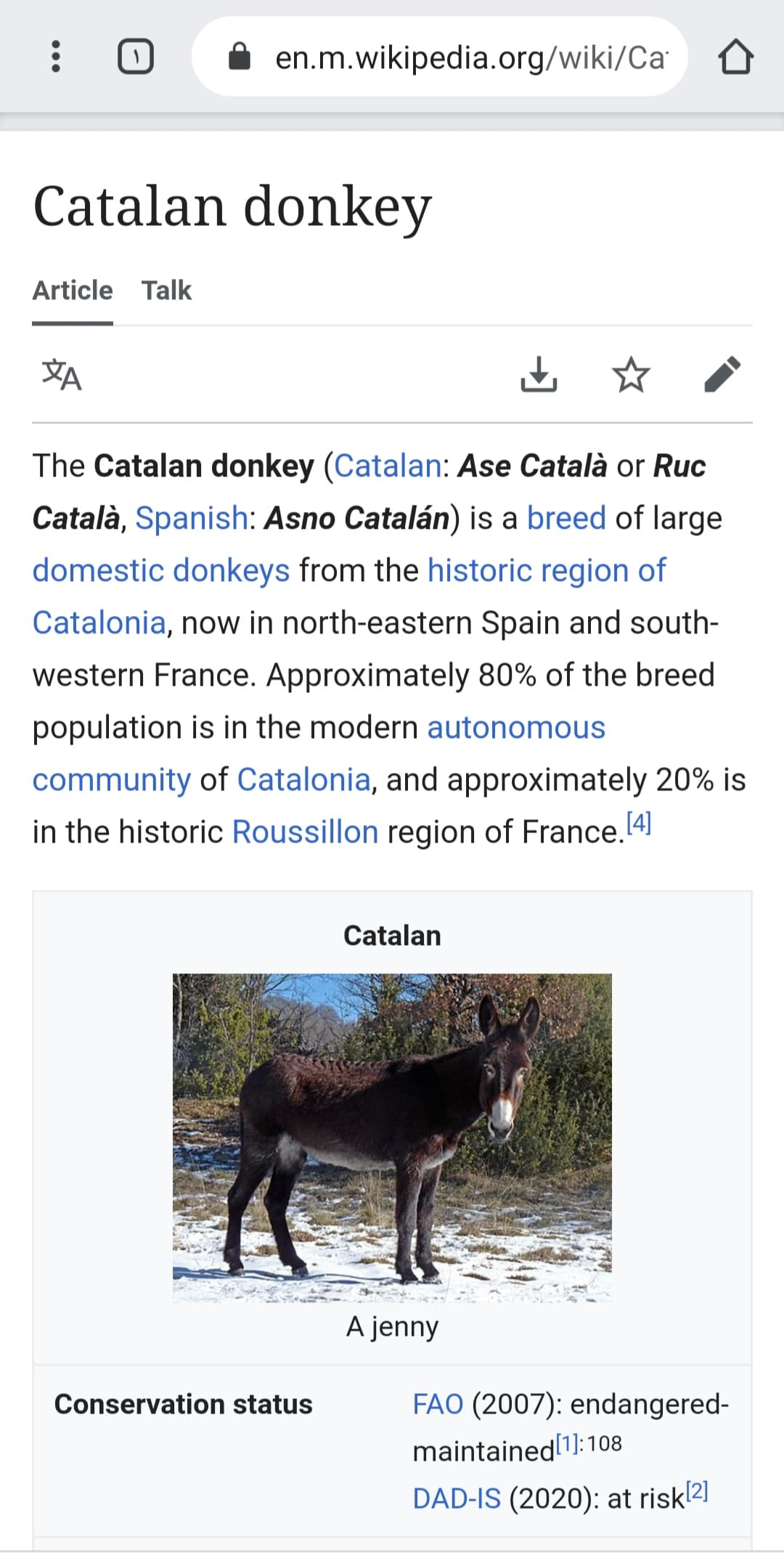 الاغ کاتالونیایی ???? visca el donkey 