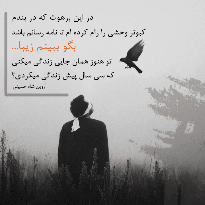 شعر کوتاه