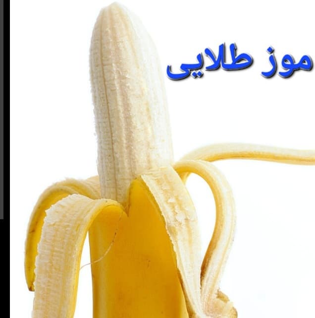 هعی