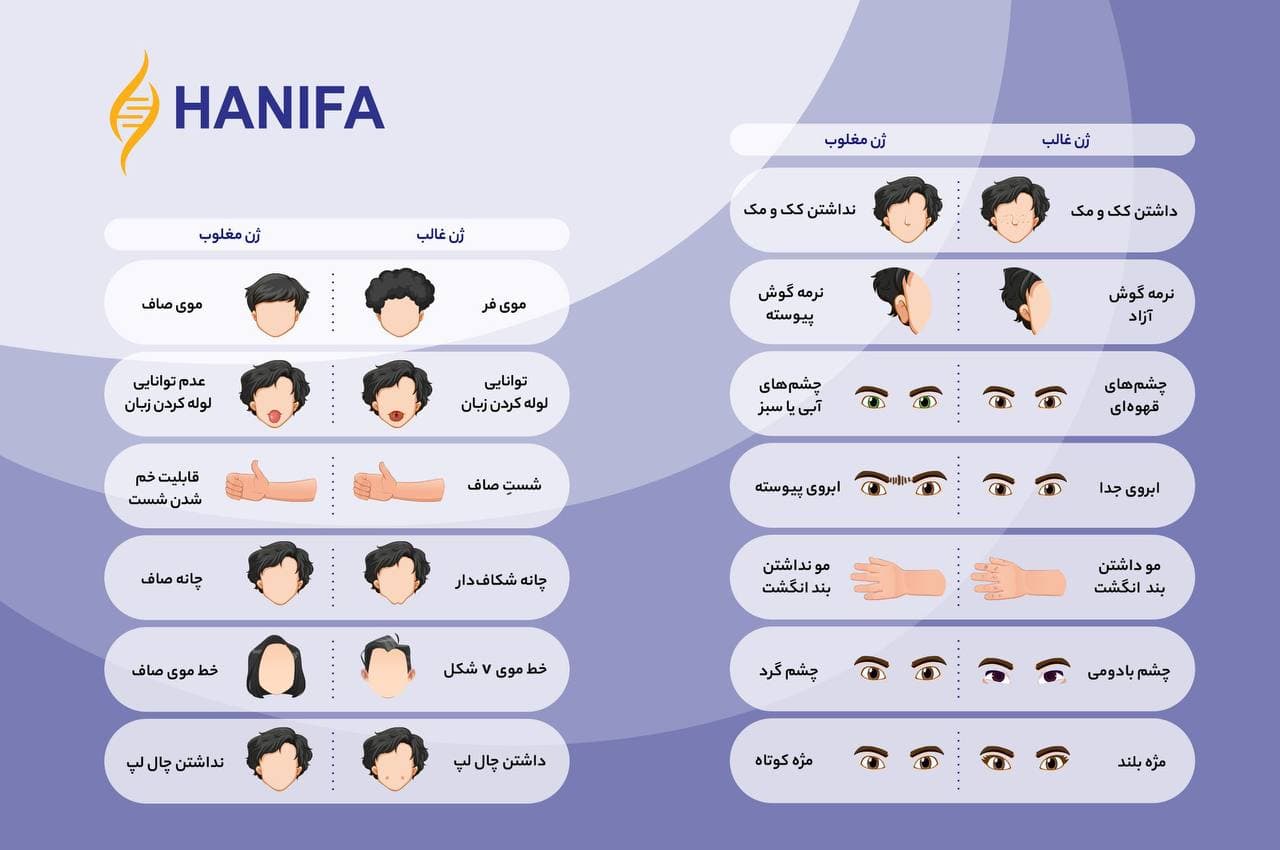چندتا ژن غالب داری چند تا مغلوب؟