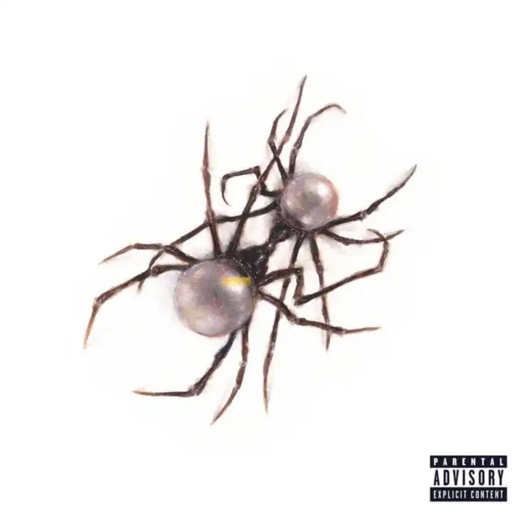 دانلود آهنگ Doja Cat - Skull And Bones
