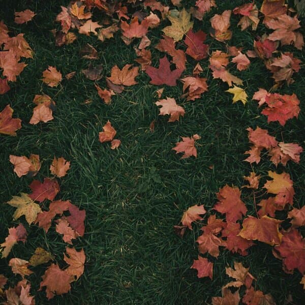 دانلود آهنگ girl in red - October Passed Me By