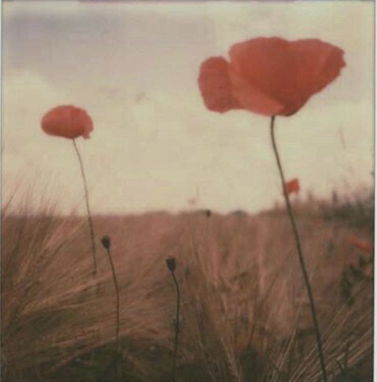 آهنگ پیشنهادی Elisa - L'anima vola