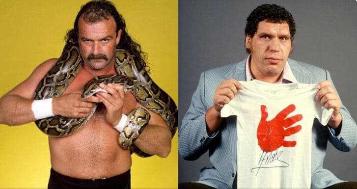 ماجرای وحشت بزرگترین ستاره تاریخ WWE از مار 