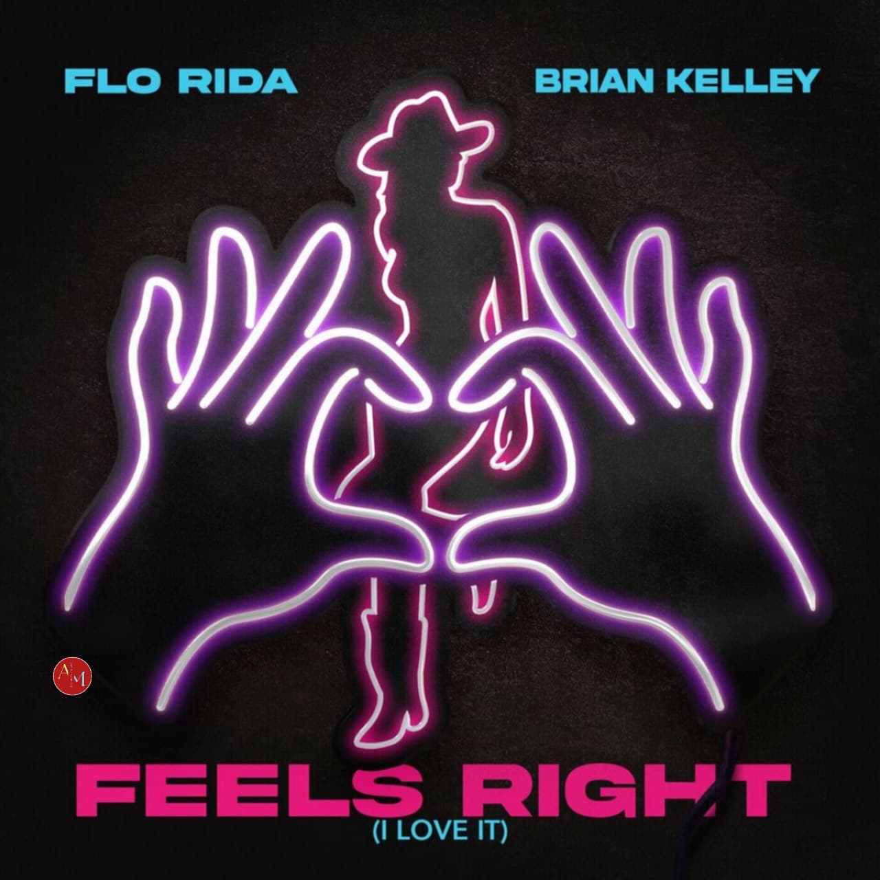 دانلود آهنگ Flo Rida & Brian Kelley - Feels Right (I Love It)