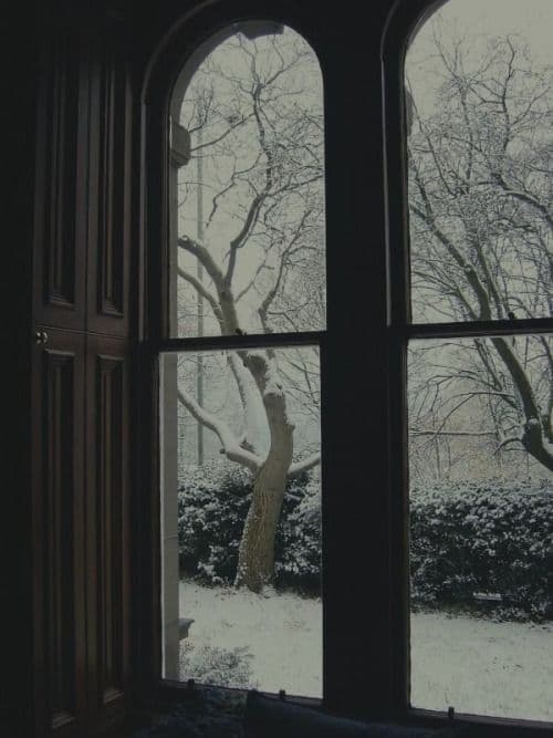 Antonio Vivaldi - four seasons Winter (Largo)