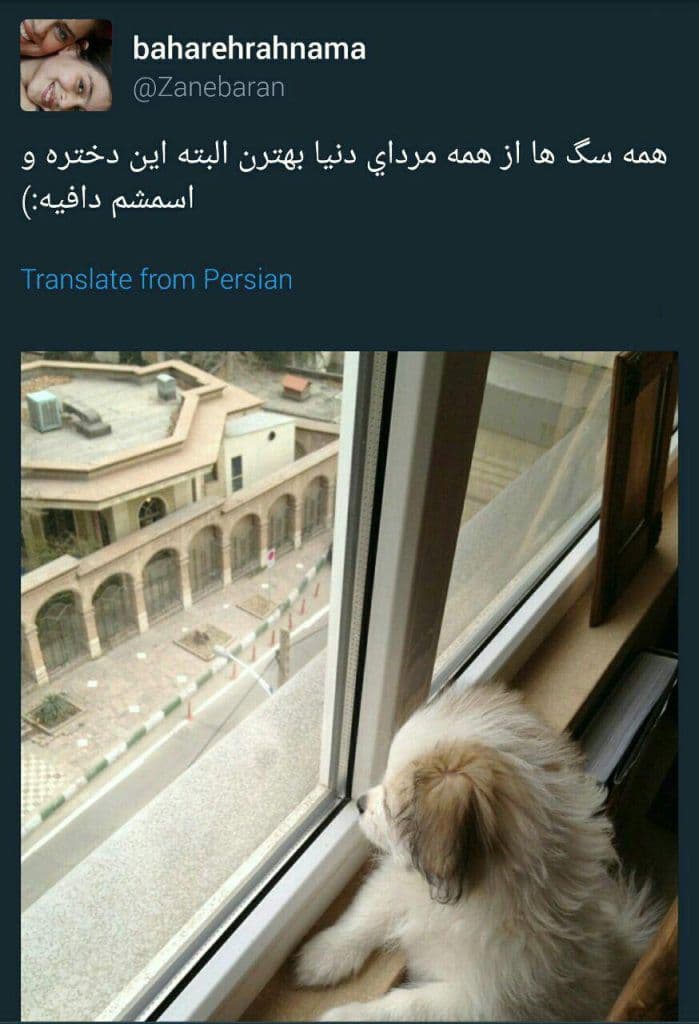 توهین بازیگر معروف به مردها!
