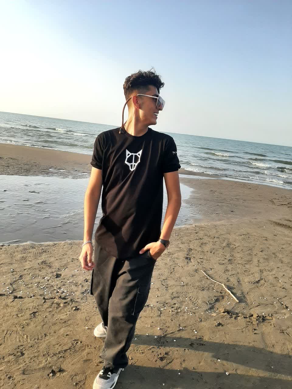 بیوگرافی امیر لئو 