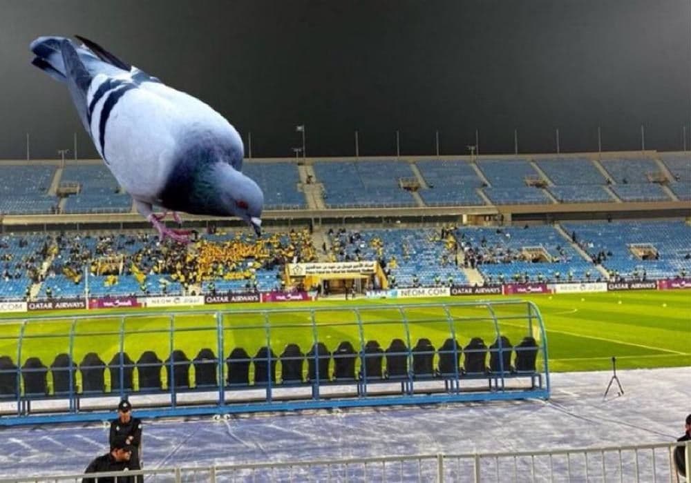 فووووووووووورییییییی????????