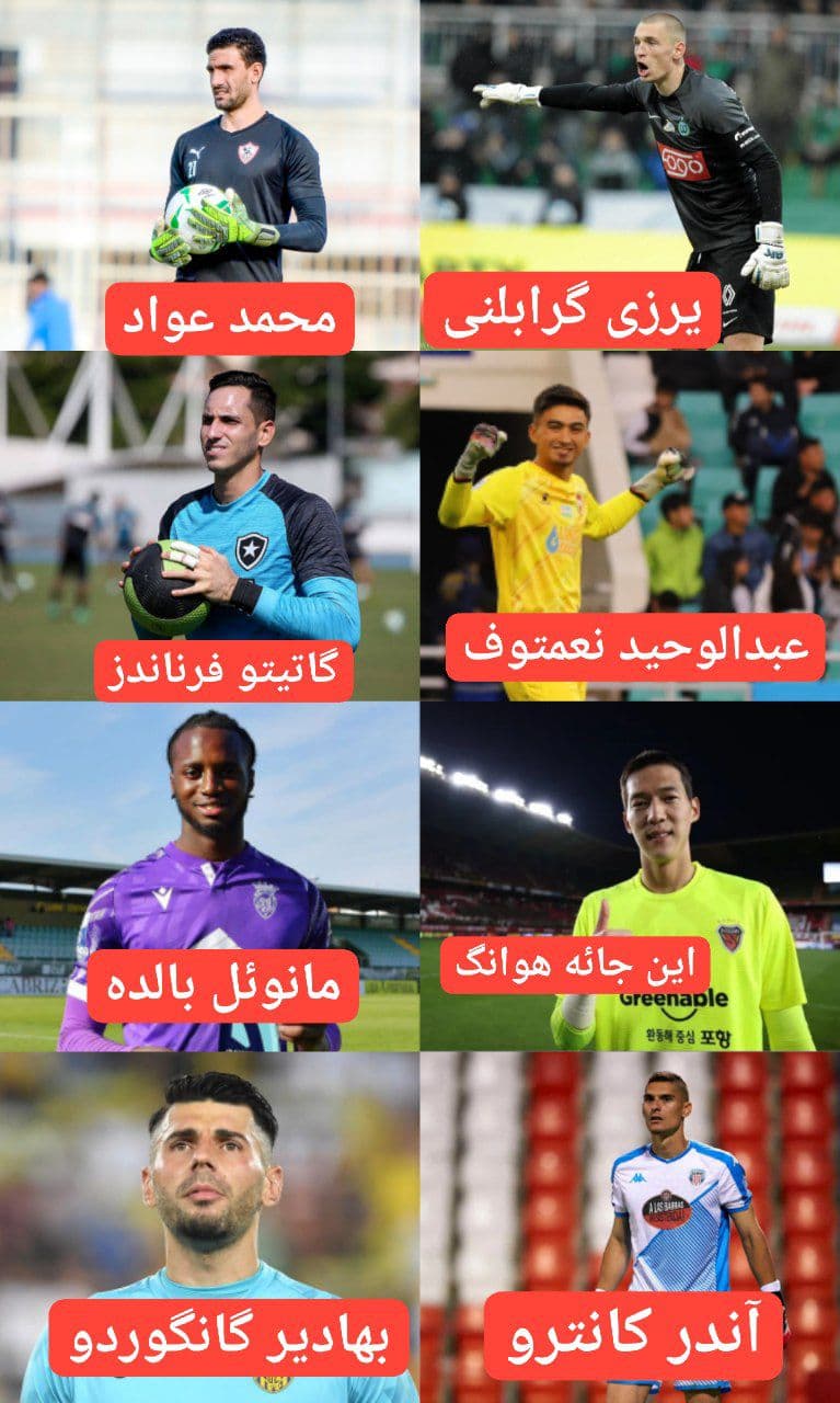 ۸ گزینه خارجی برای جانشینی علیرضا بیرانوند در پرسپولیس 