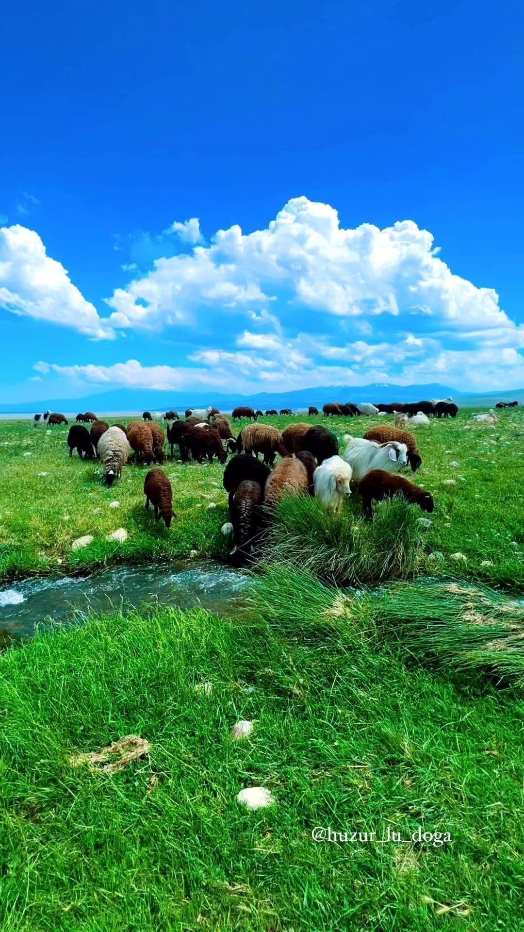 چه حس خوبی به آدم میده این فضا