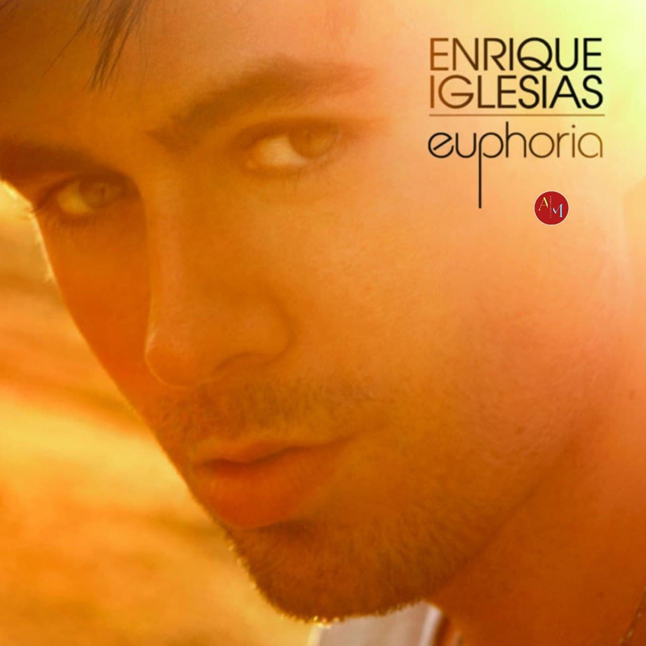 دانلود آهنگ Enrique Iglesias & Pitbull - I Like It همراه با متن و ترجمه