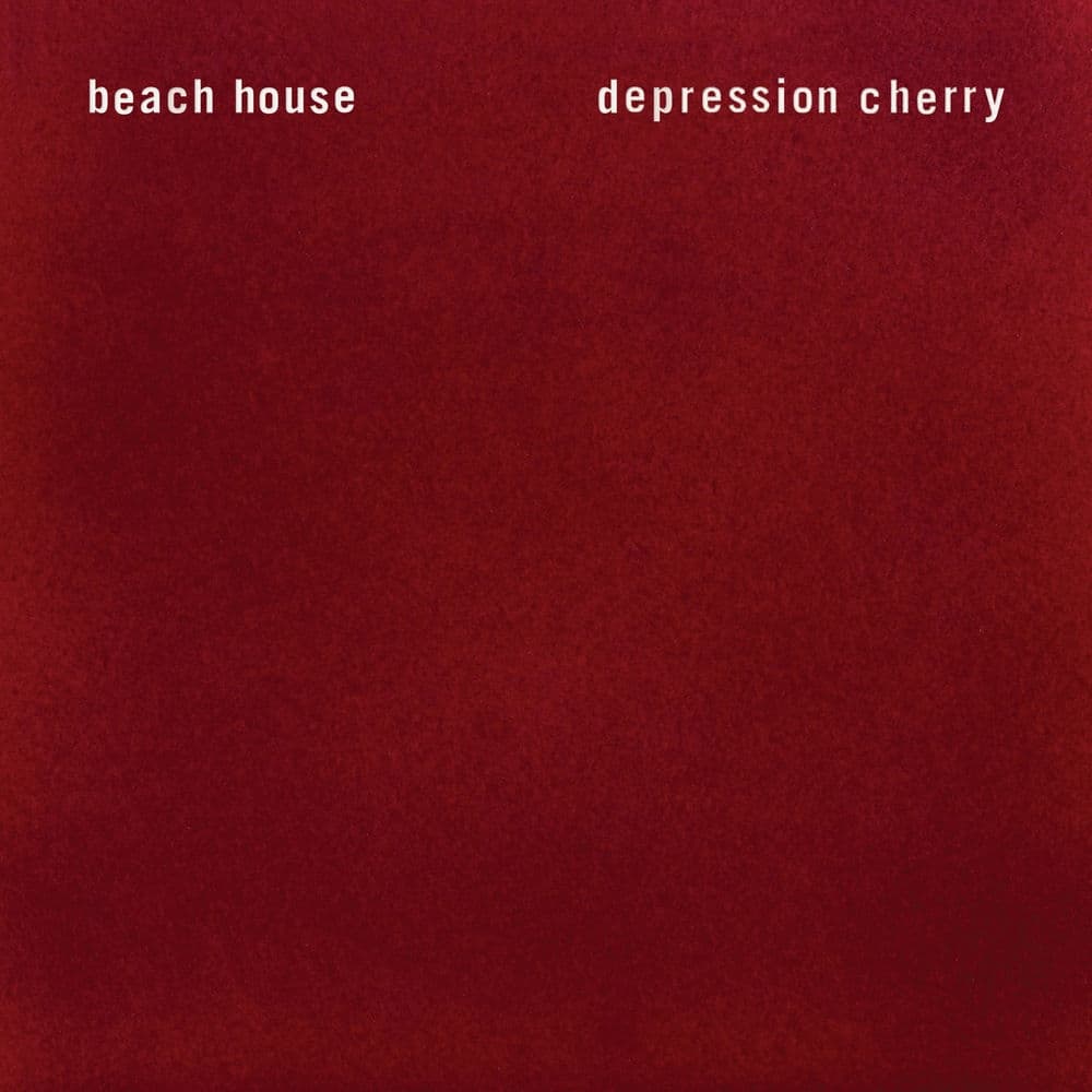 دانلود آهنگ WildFlower از Beach House 