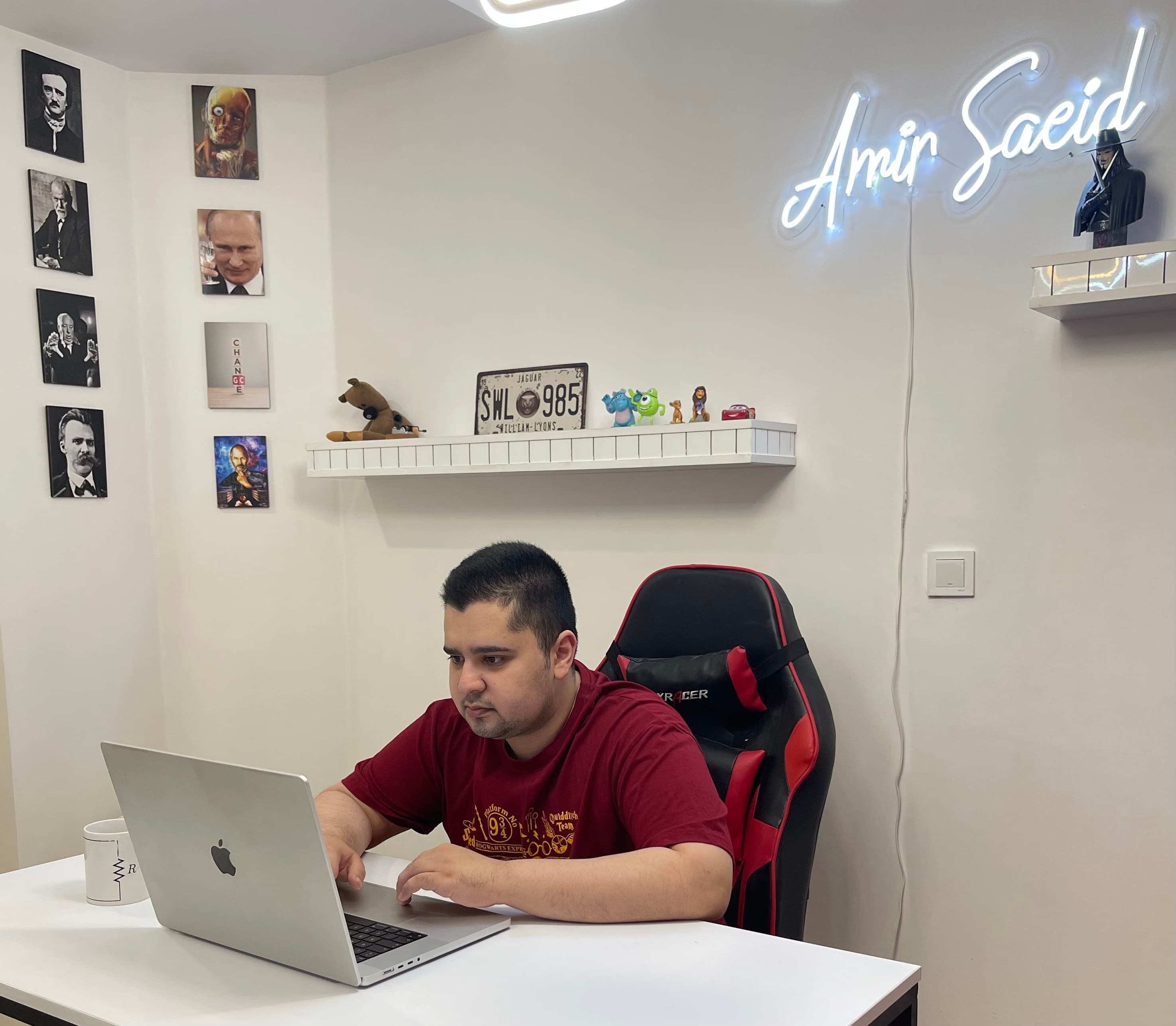 Working on the project 
