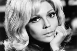 Bang Bang(My Baby Shot Me Down)/Nancy Sinatra