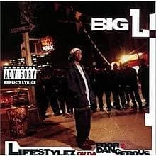 ترجمه و تحلیل آلبوم Big L - Lifestylez ov da Poor & Dangerous