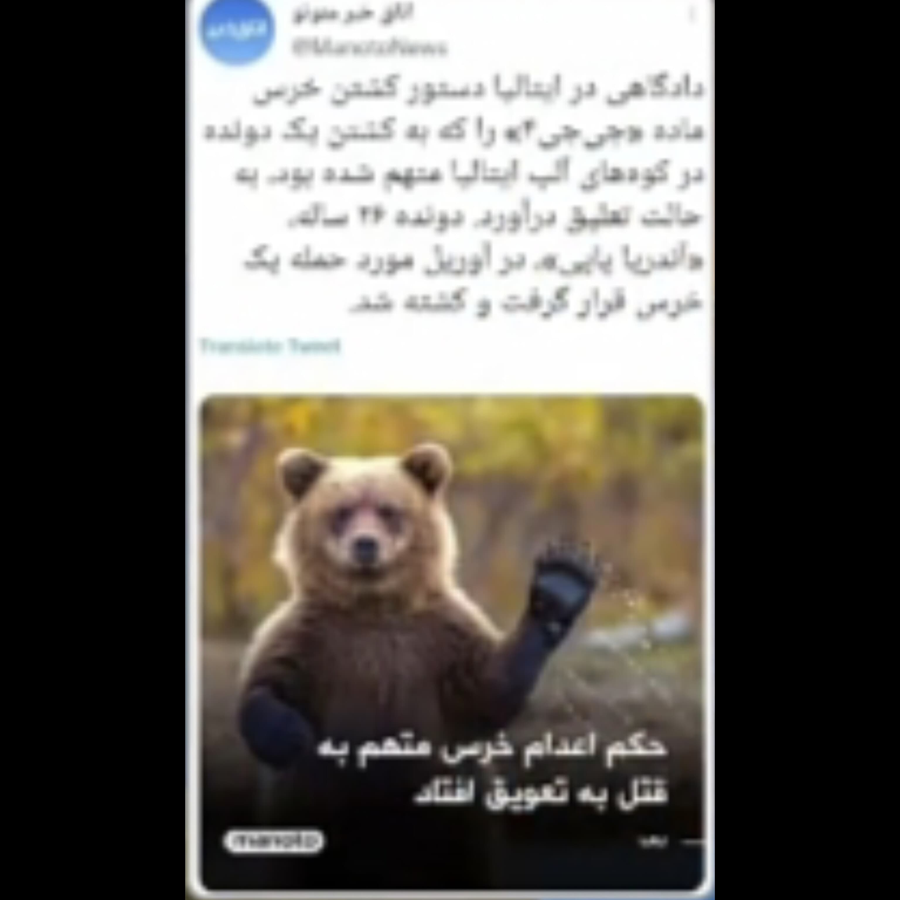 عدالت قضایی در ایتالیا???