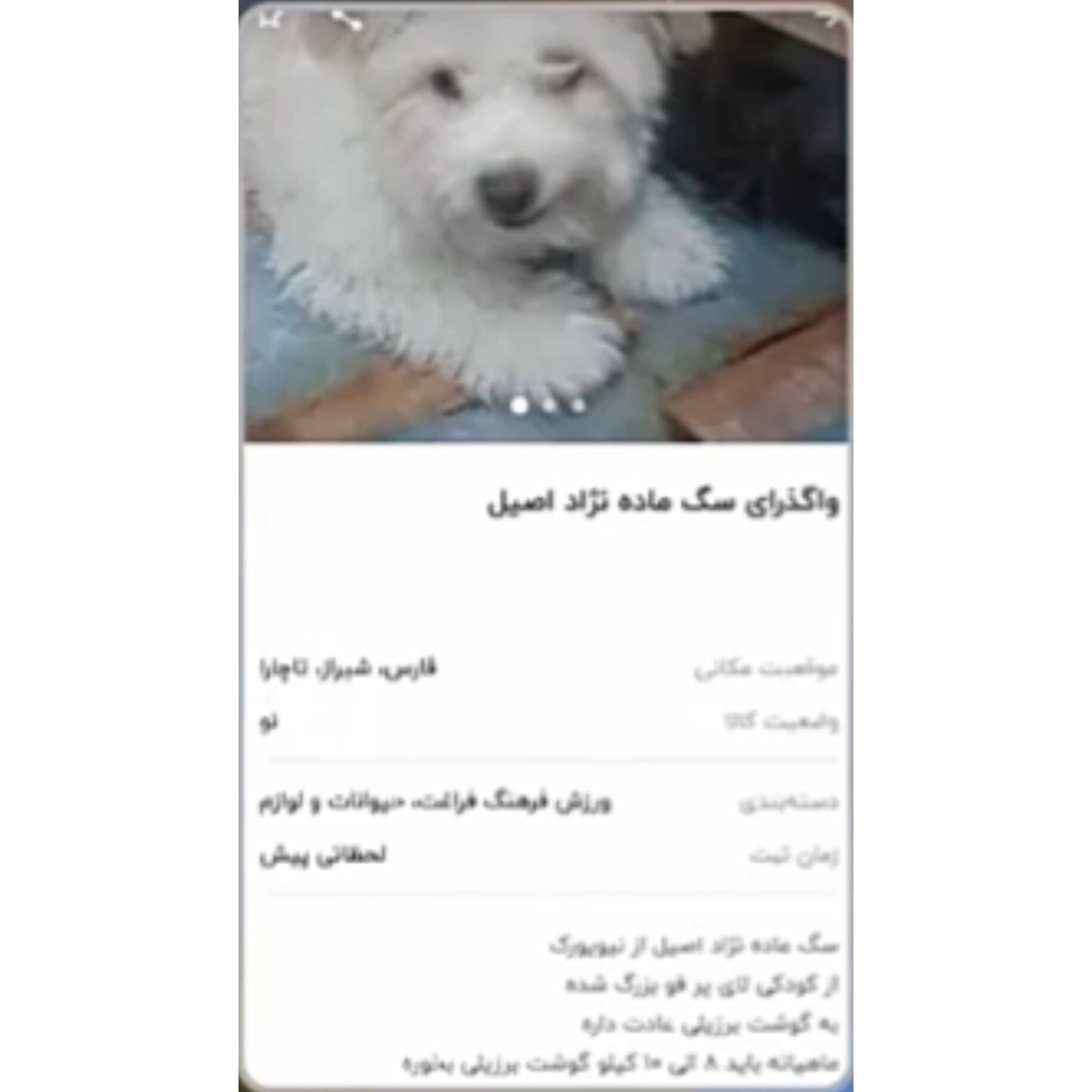 خوش به حال سگه????
